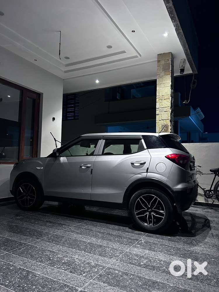 Xuv 300 Grey Color