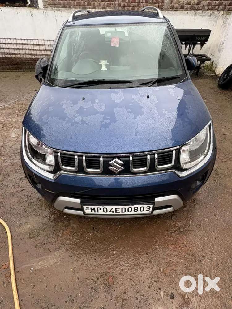 Ignis Car Maruti Suzuki
