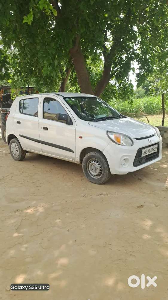 Alto 800 Modal 2017