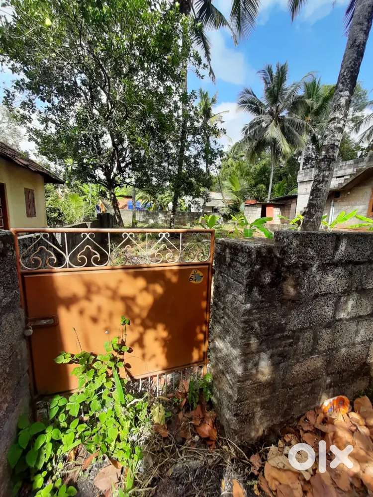 5 cent Residential plot for sale Lands & Plots 1756980551