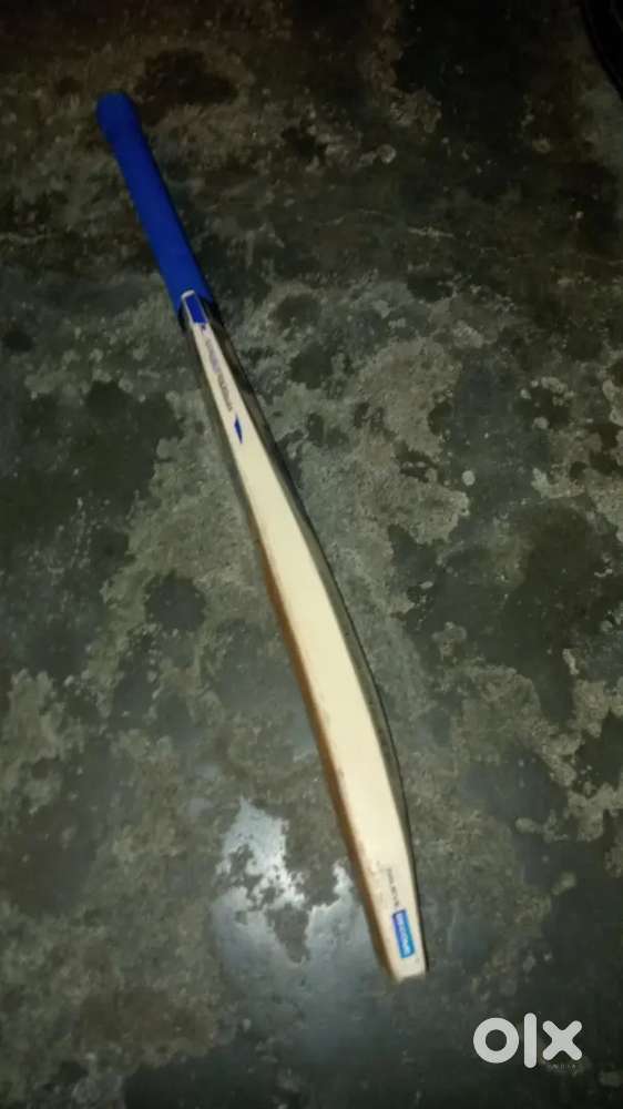 No use kashmiri willow bat (6) and linseed oil 100ml