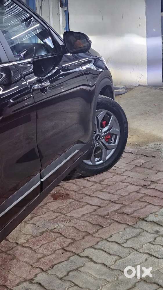 Kia Seltos 2024 Petrol Well Maintained
