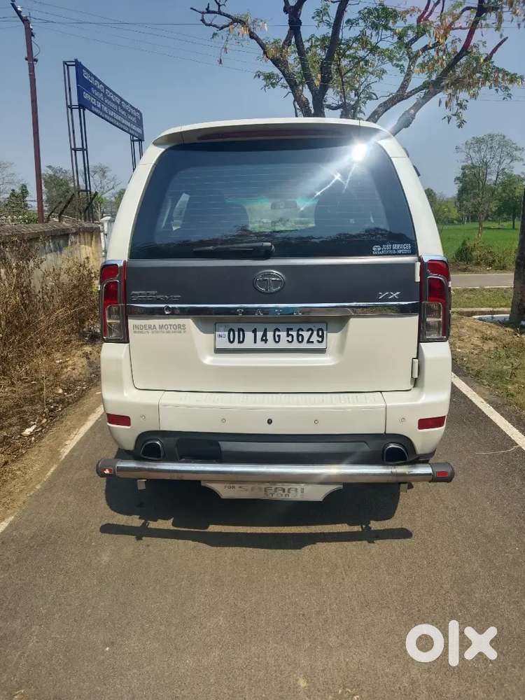 Safari Storme Top Model