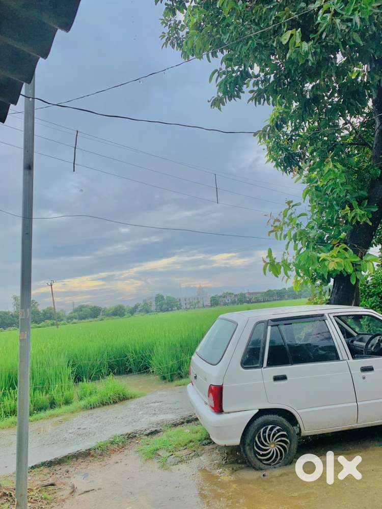Maruti Suzuki 800 2000