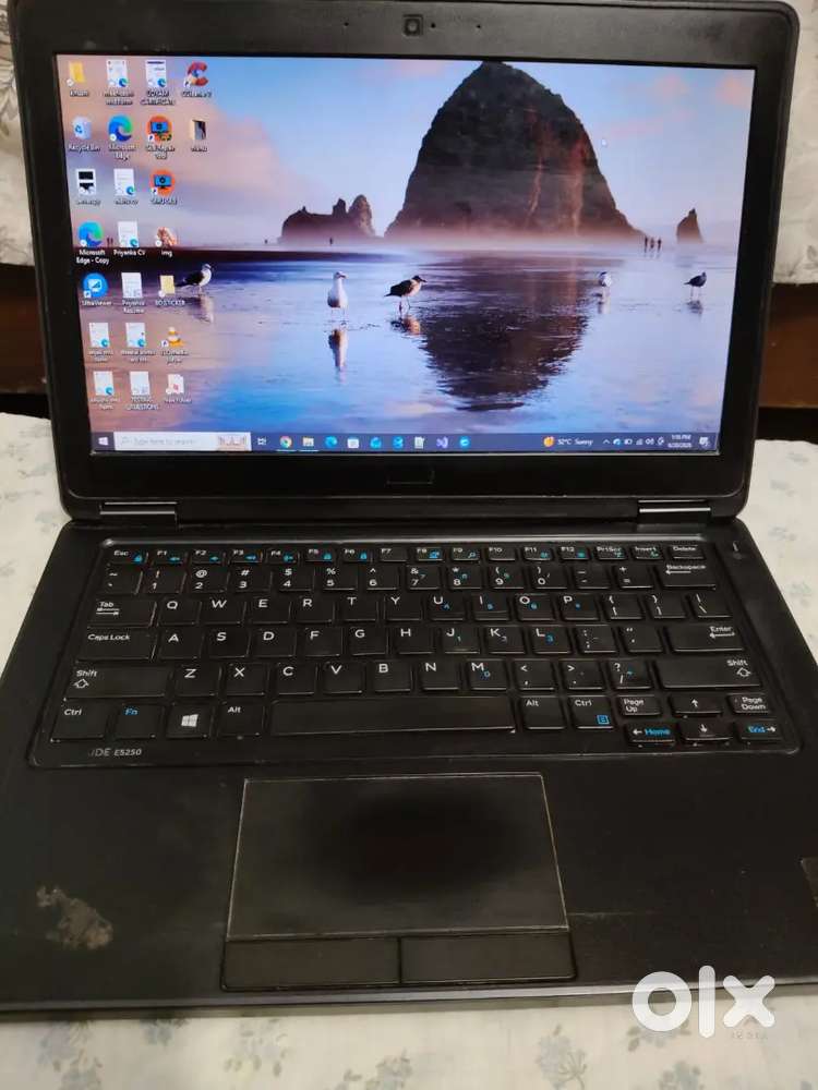 Dell latitude Working condition