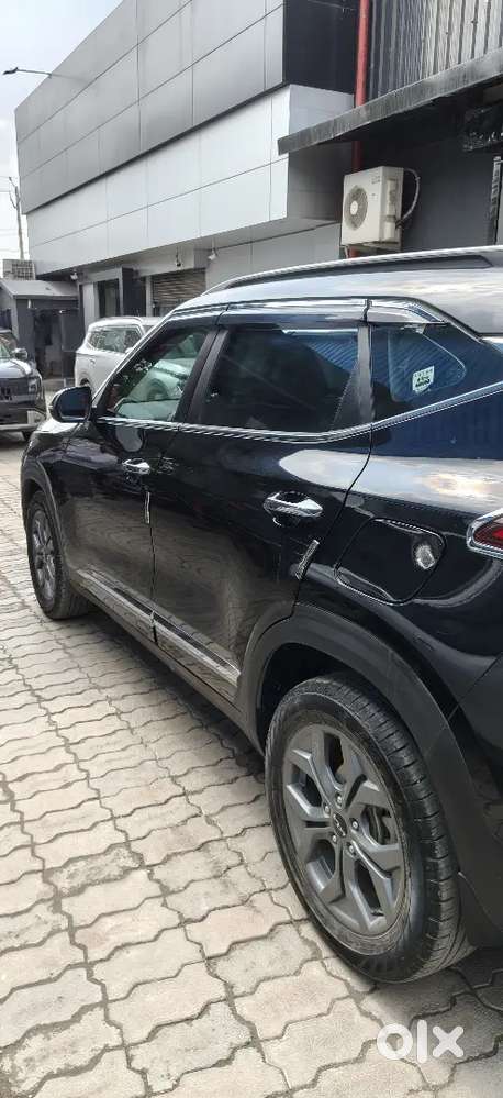 Kia Seltos 1.5 Petrol Manual 2024