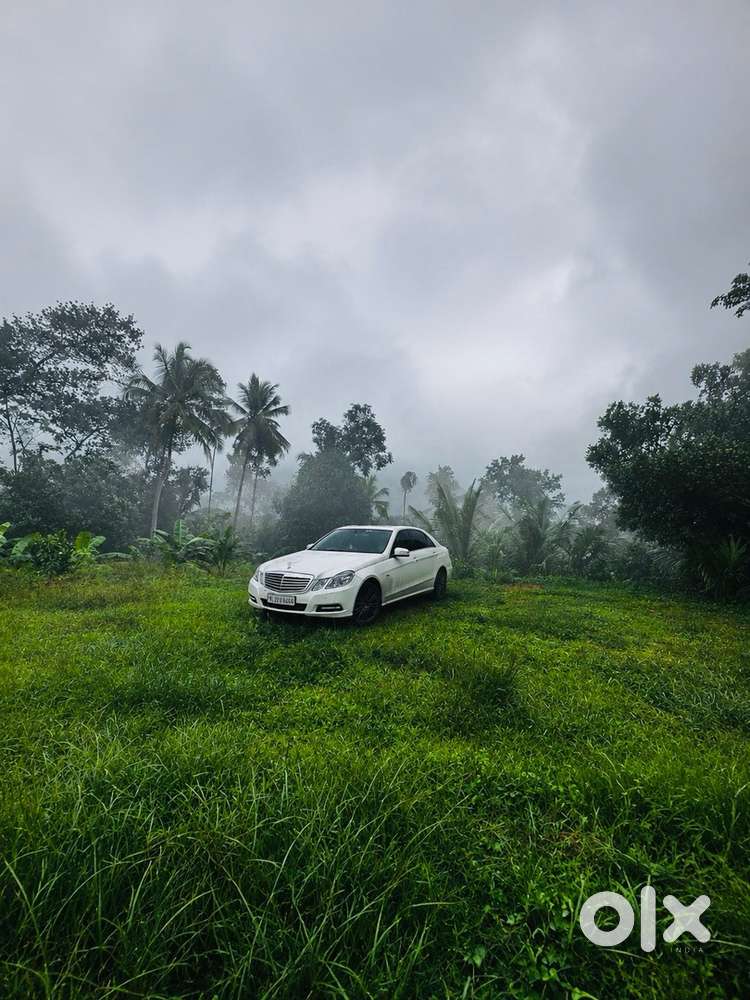 Mercedes Benz E- Class E220 Cdi