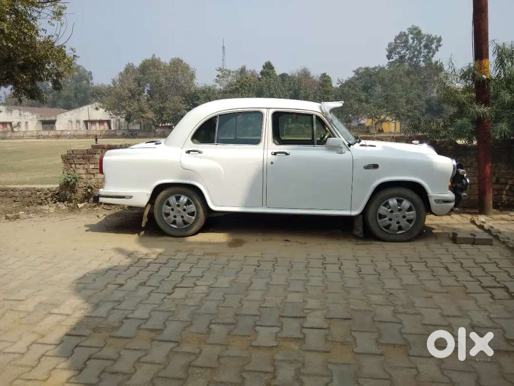 Ambassador Avigo Petrol 2010