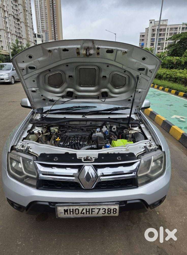 Renault Duster Petrol Rxl, 2016, Cng & Hybrids