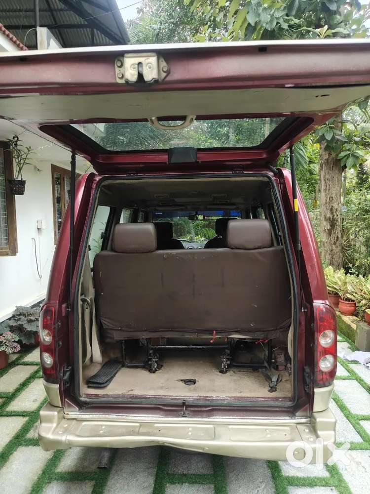 Sonalika (rhino)