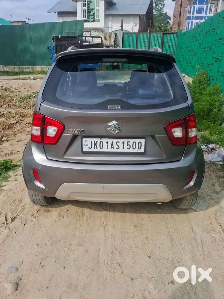 Ignus No Expenditure