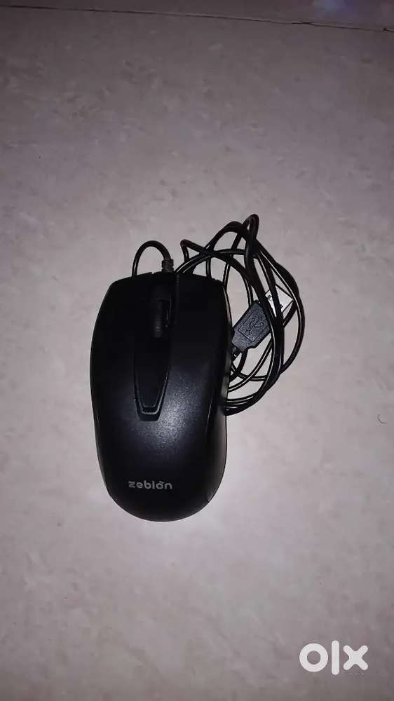 Fast Mouse