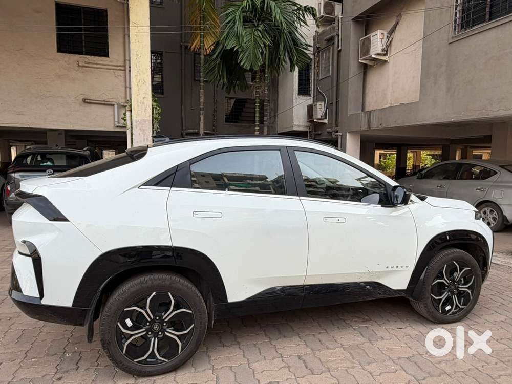 Tata Curvv December 2024