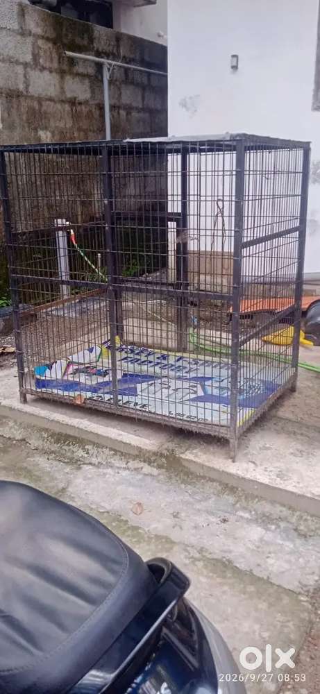 ​Heavy Duty Dog Cage / Kennel for Sale - Excellent Condition