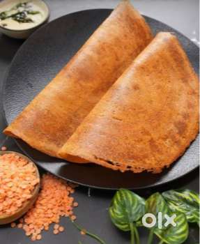 Dosa master for  south indian restaurant