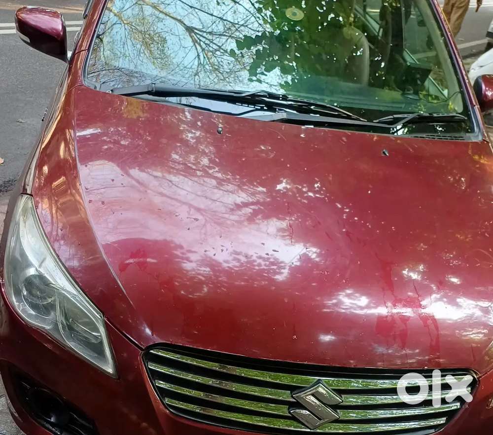 Mahindra Xuv500 2019 All Original Bumper To Bumper