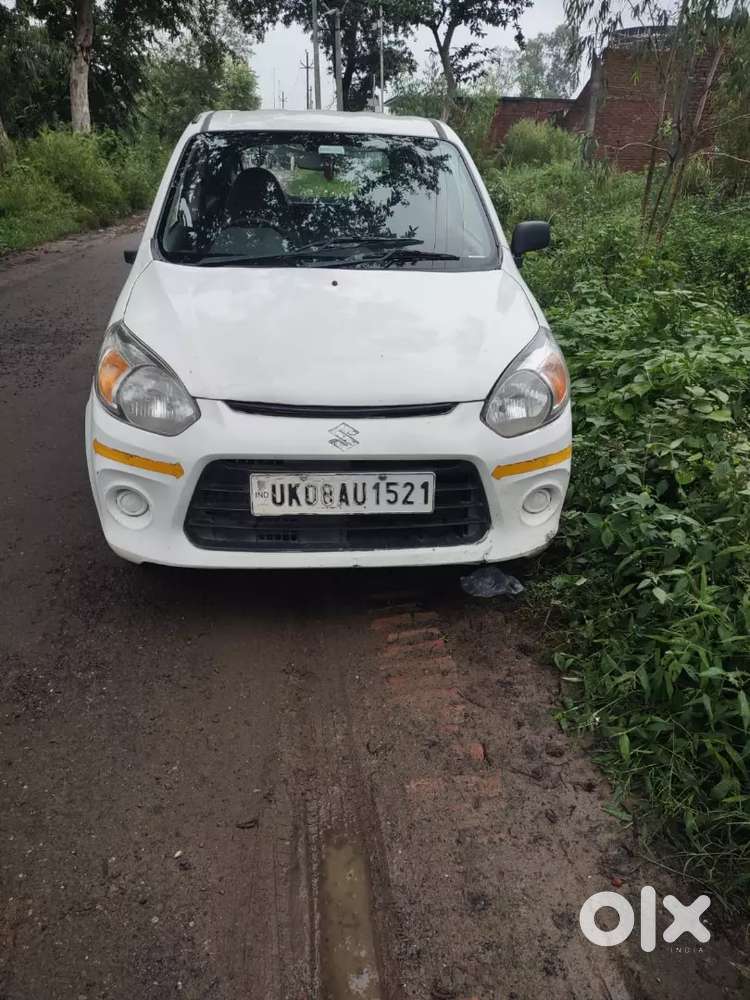 Alto 800 Excellent Condition