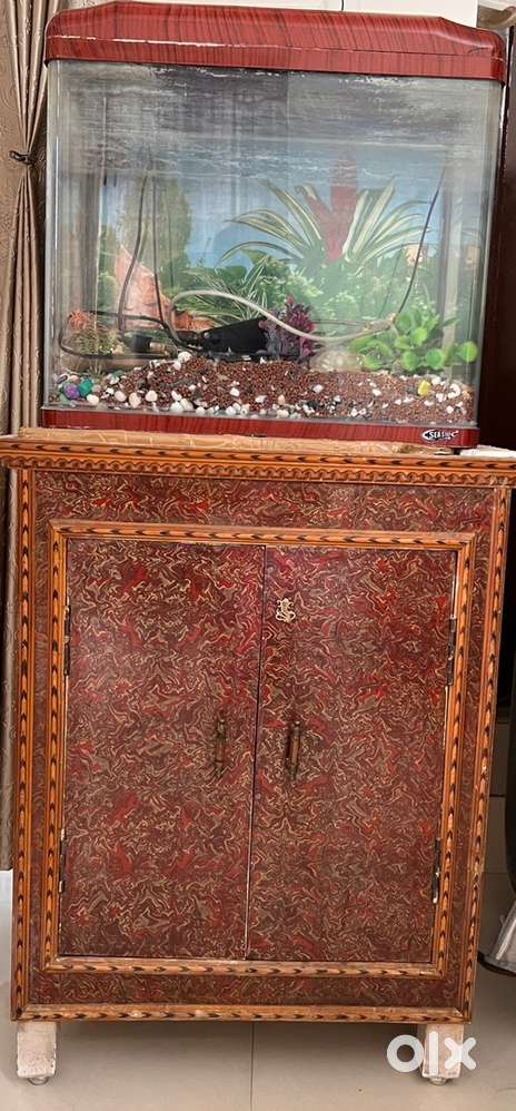 Fish Tank Setup with Double-Door Cabinet & Full Accessories