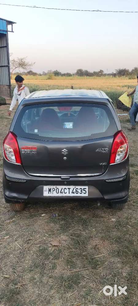 Alto 800 Vxi Automatic