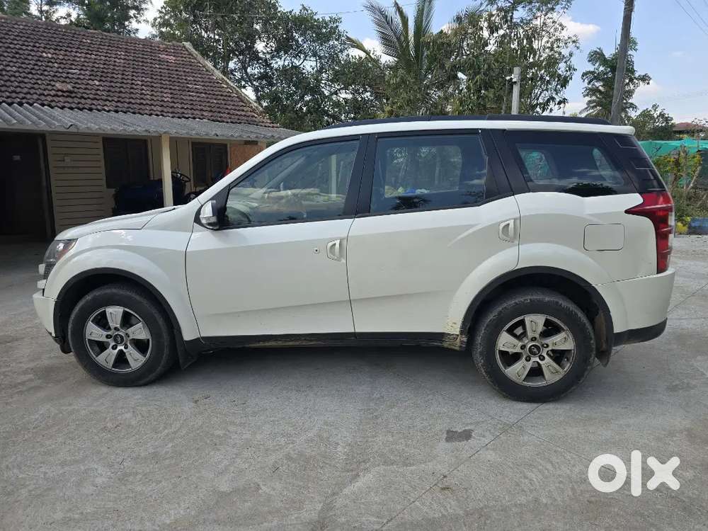 Showroom Maintenance