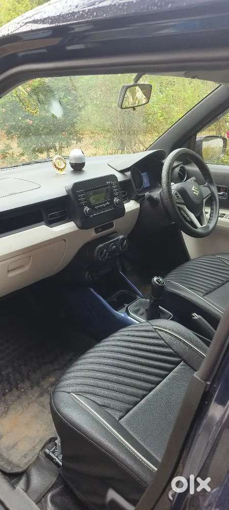 Maruti Suzuki Ignis Delta 2025