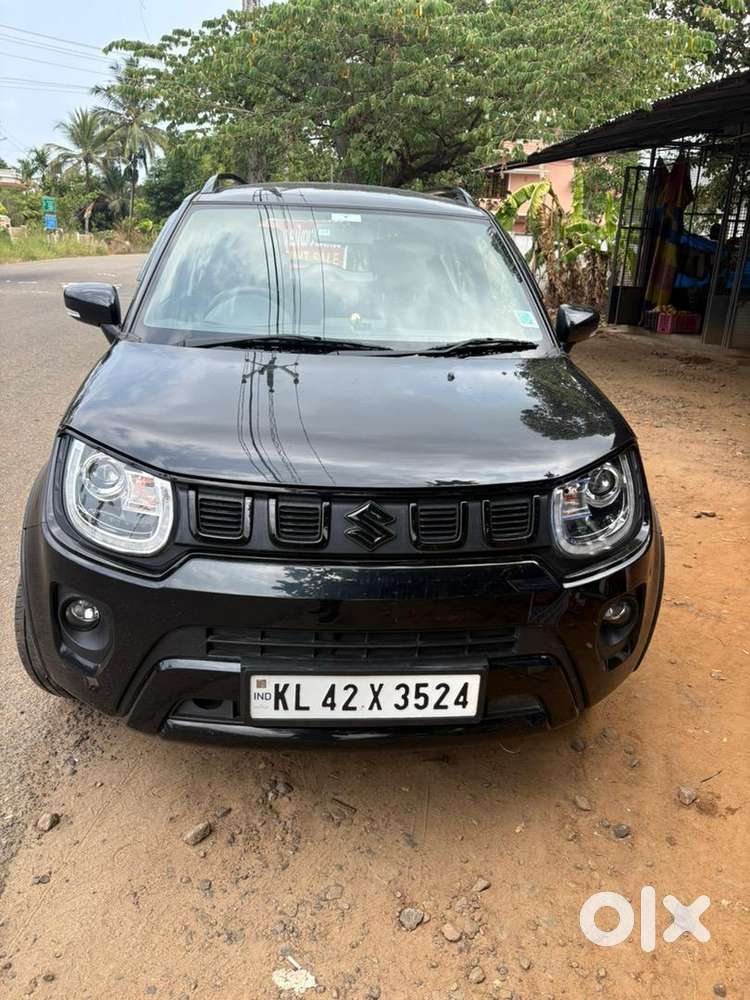Maruti Suzuki 2024 Year Car