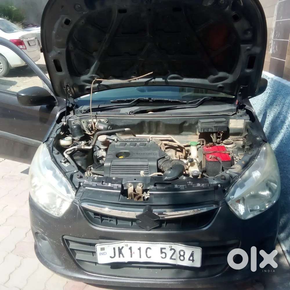 Maruti Suzuki 1000
