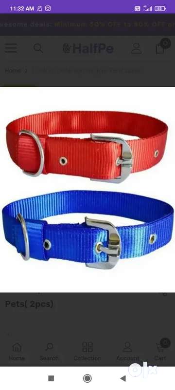 Dog store belt olx