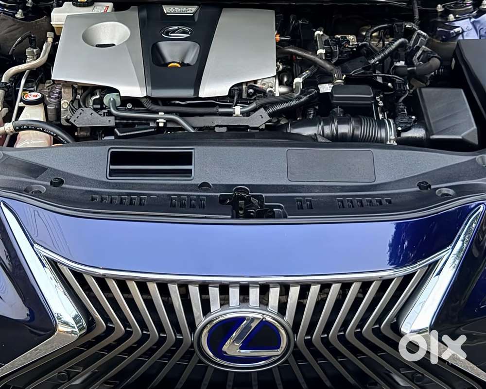 Lexus Es 300h Luxury, 2021, Petrol
