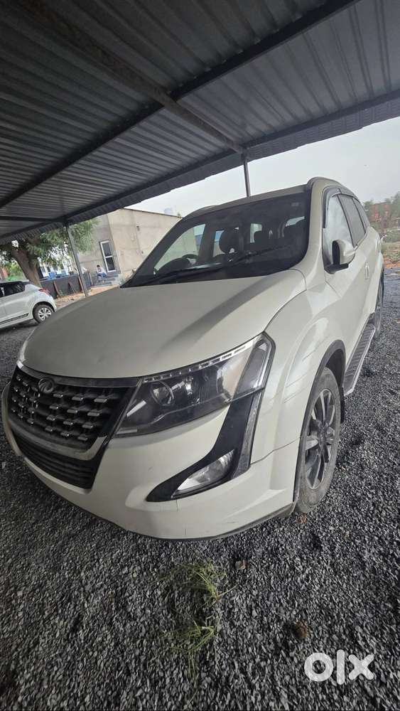 2019 Model