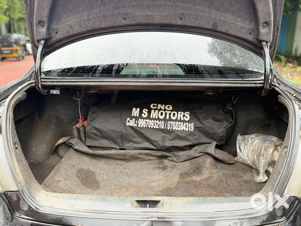 2010 Honda Accord Cng