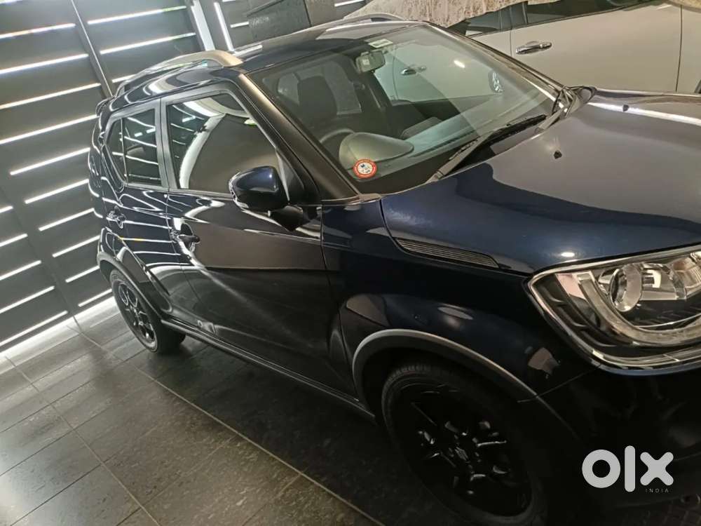 Maruti Suzuki Ignis 1.2 Alpha Amt, 2025, Petrol