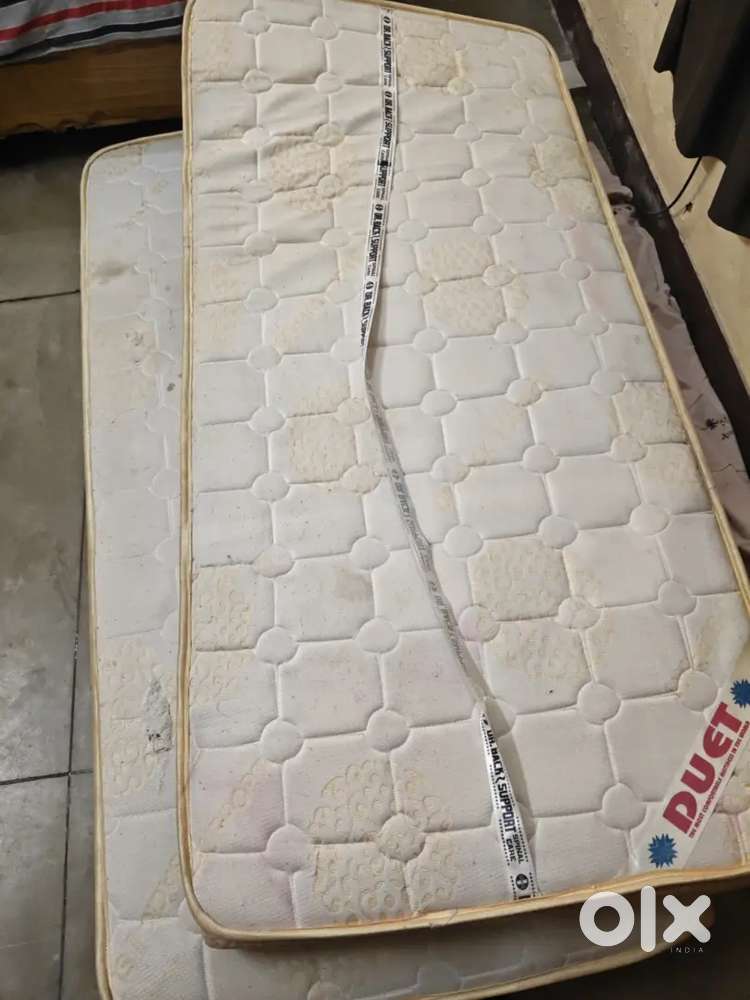 Dr .Back spinal support mattress