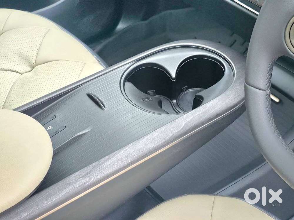 Mg Windsor Ev Essence Pro, 2025, Electric