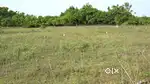 GST Main Road Near Plot For Sale