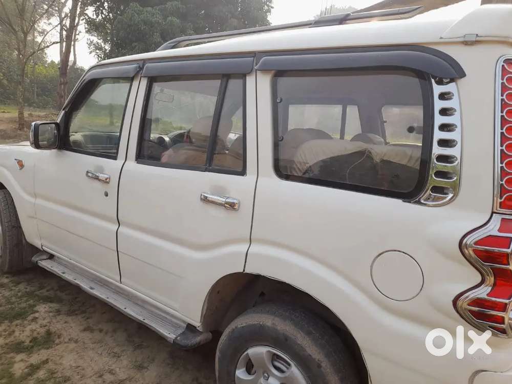 Good Condition 2030 Tak Vild Hai