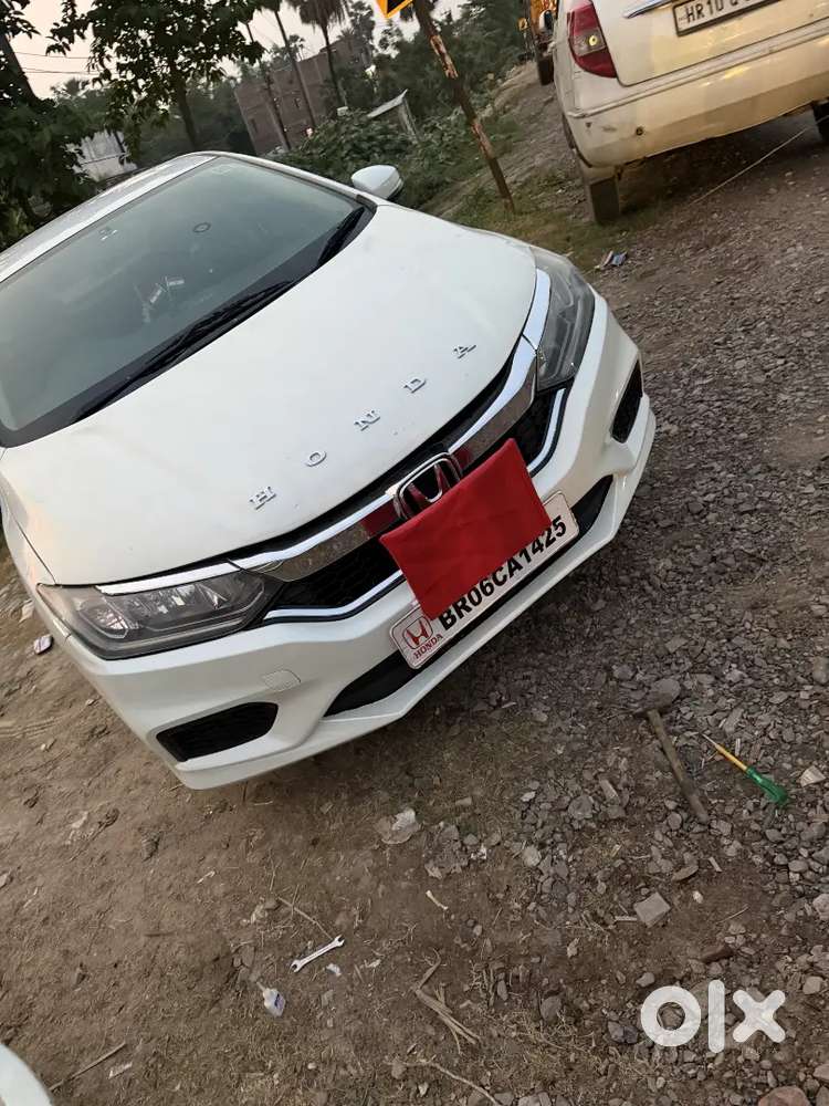 Scorpio Lena Hai