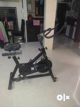 Bicicleta nordika online spinning