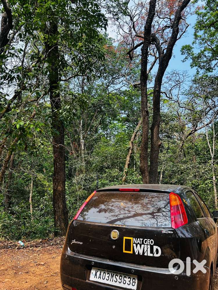 Fiat Punto Diesel 2013
