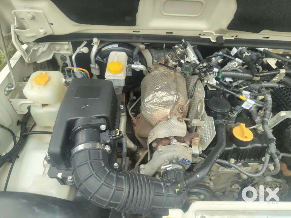 Verry Good Condition  Bolero. B6 Optional