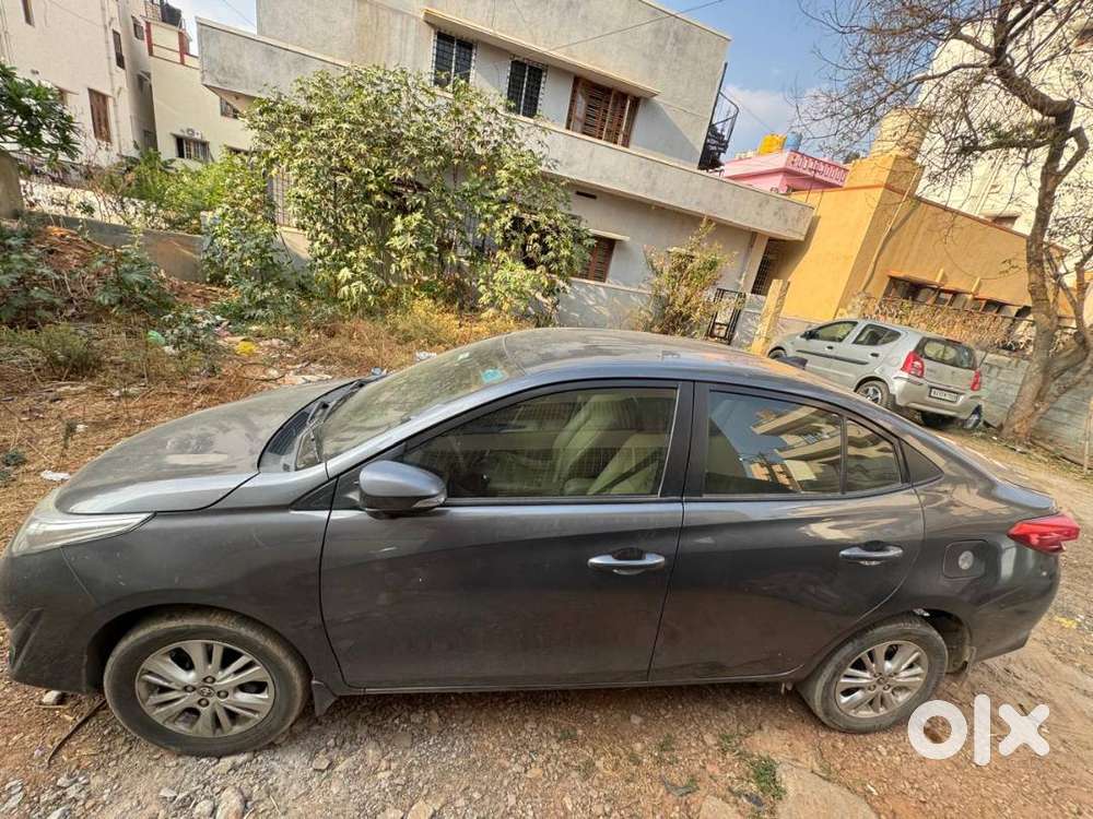 2019 Model