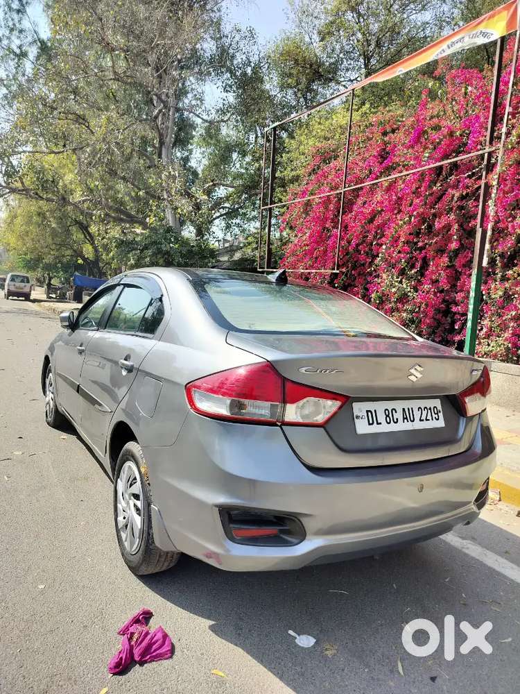 Maruti Suzuki Ciaz