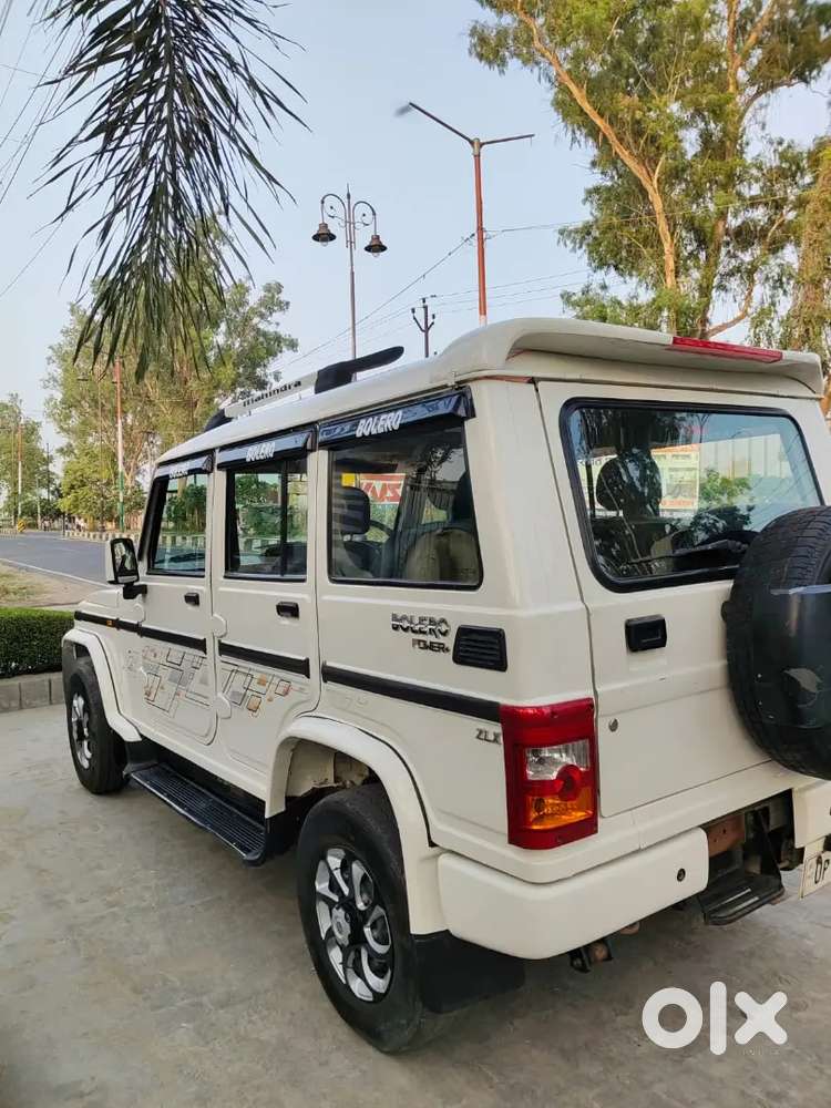 Beloro2019