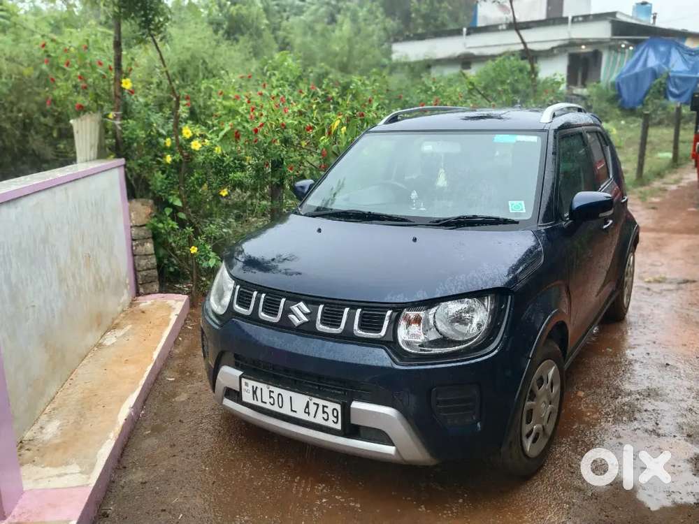 Maruti Suzuki Ignis Delta 2024