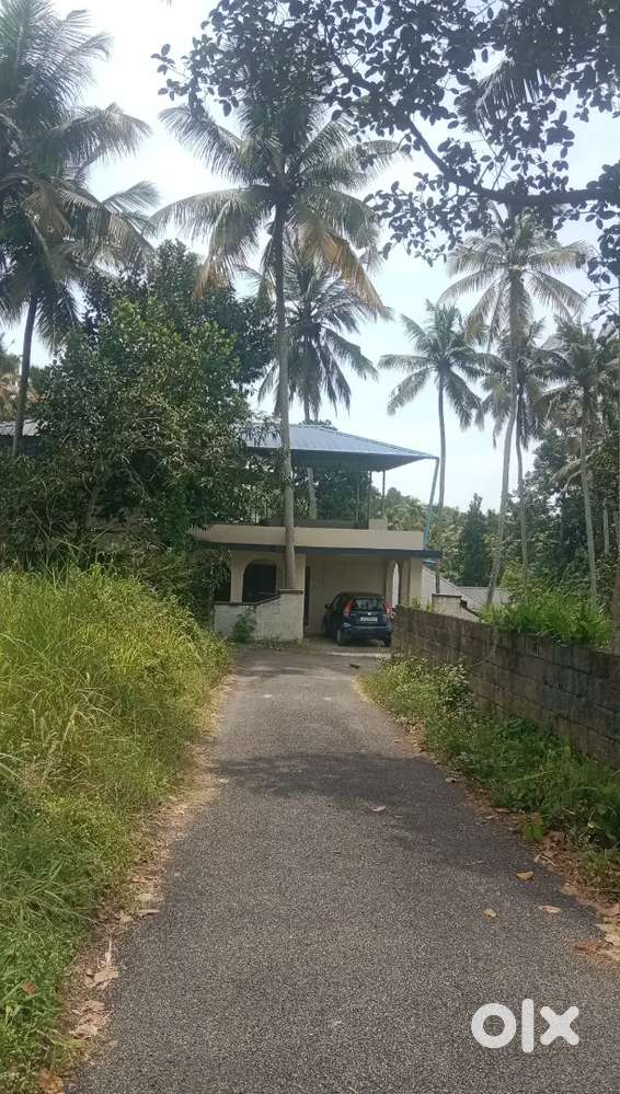 Plot  For  Sale  12 cent  Old House  Chenkottukonam Trivandrum