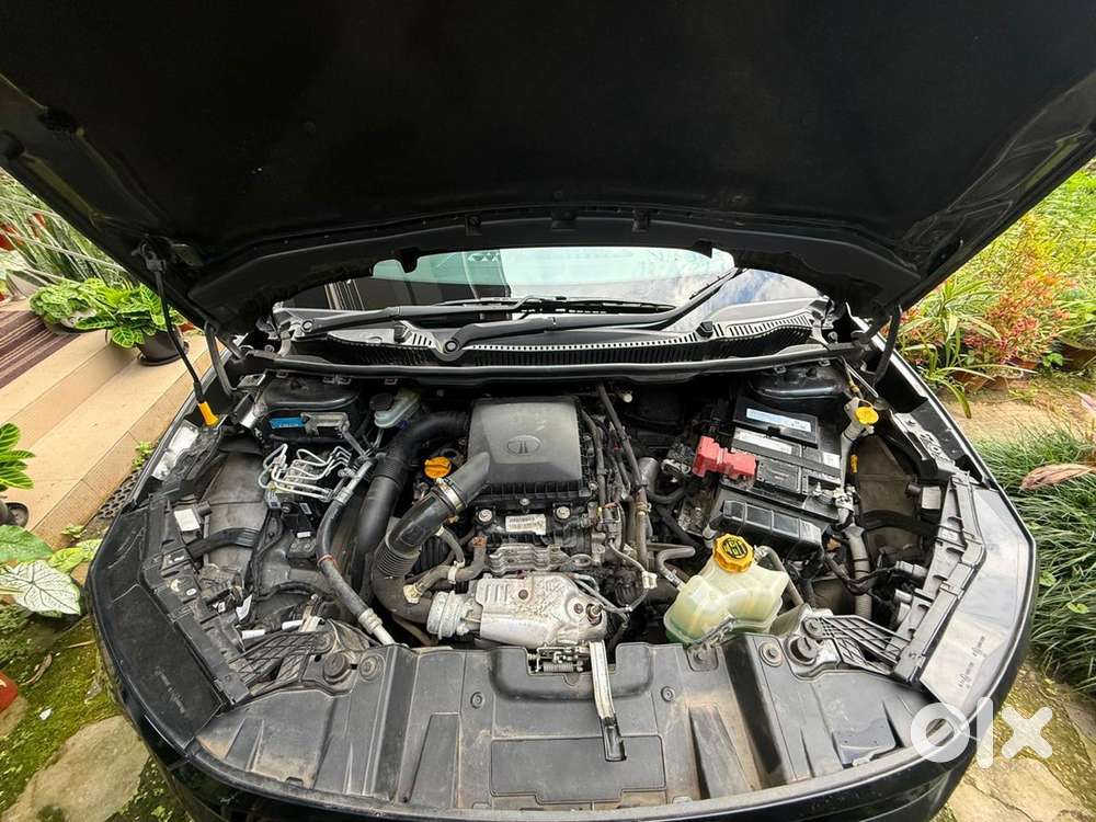 Tata Nexon Petrol 2024