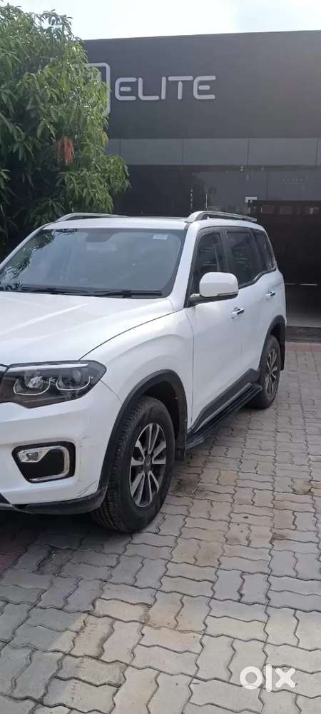 Mahindra Scorpio N Z8 Diesel Mt 2wd 7 Str, 2024, Diesel