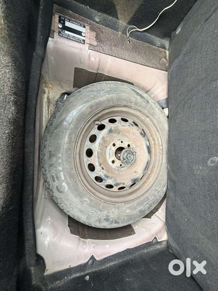 Fiat Punto Active 1.2, 2011, Petrol