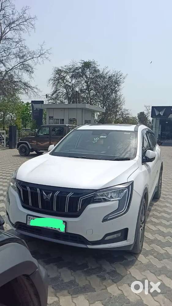 Tyer New, Mint Condition