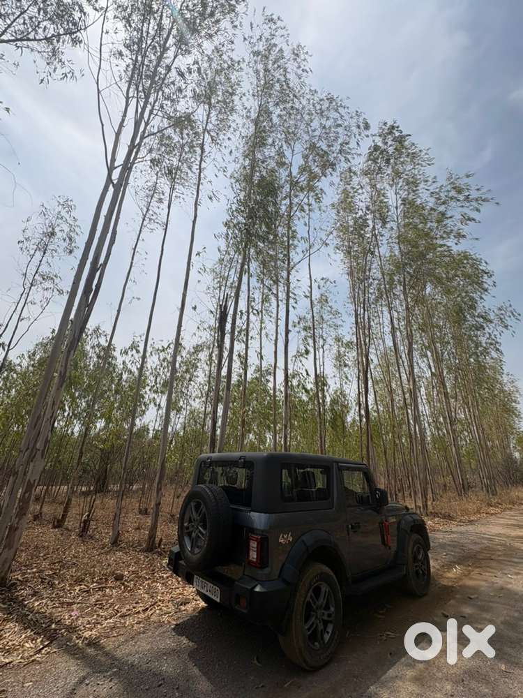 Well Maintained Mahindra Thar Diesel 2023